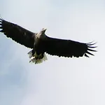 Mobile Im Mit Seezugang Dabel