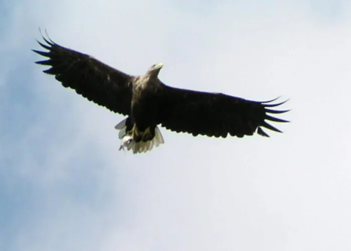 Mobile Im Mit Seezugang Dabel
